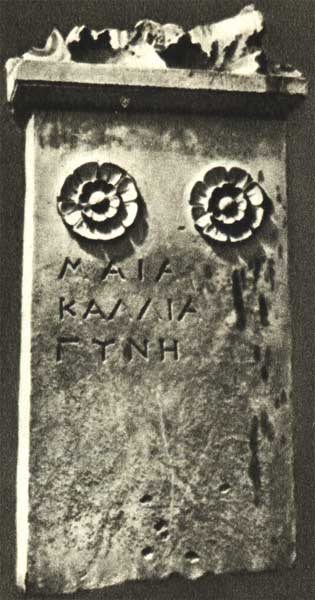 ����
Maia