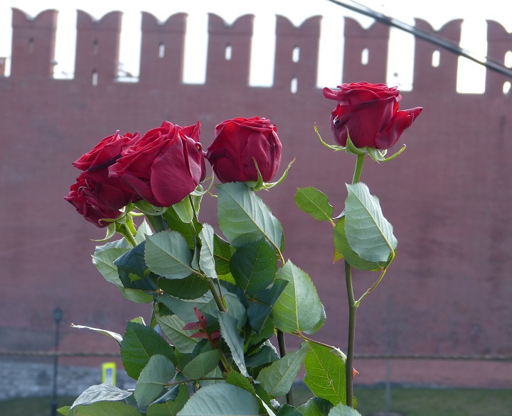 19 ������ 2015. ���� �������, ������� ������
April 19, 2015. �Peace for Ukraine, freedom for Russia�