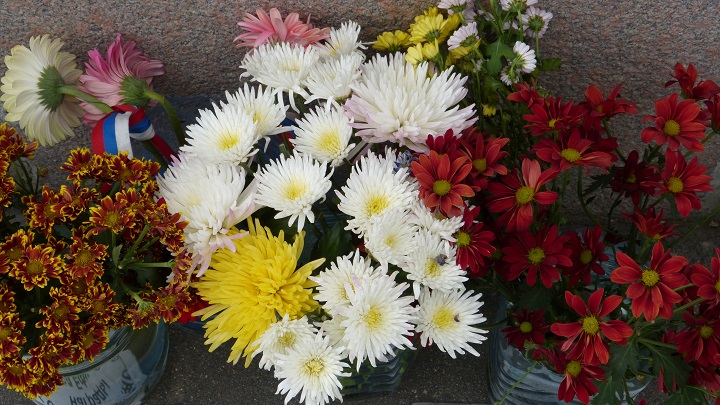 18 ���� 2016. ������ ����
June 18, 2016. The Nemtsov bridge