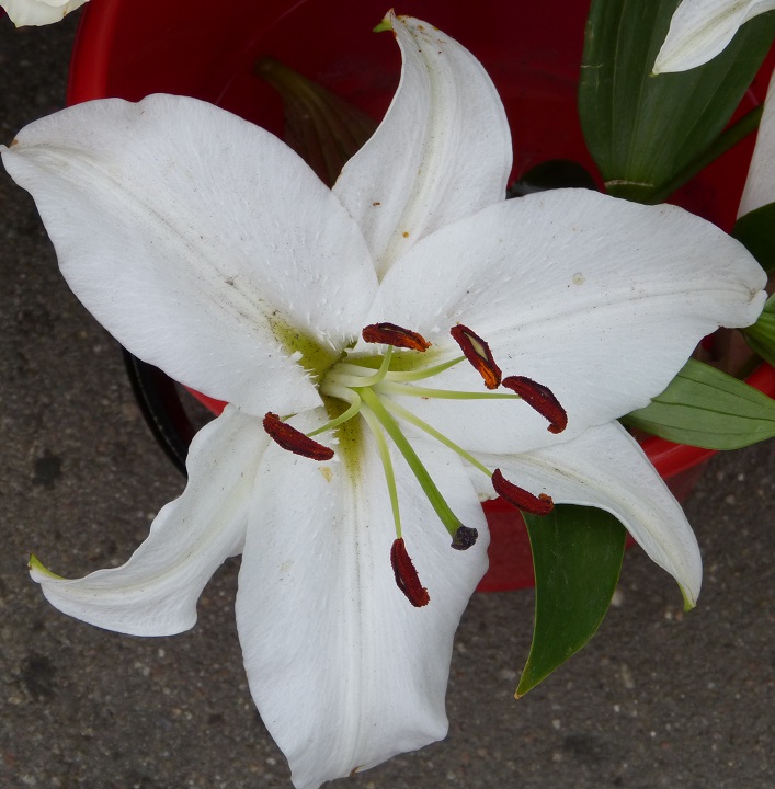 18 ���� 2016. ������ ����
June 18, 2016. The Nemtsov bridge