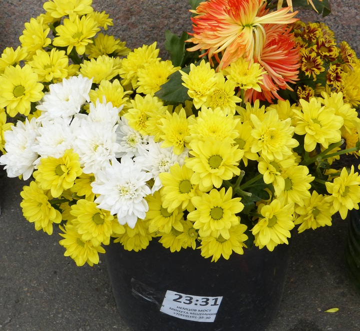 2 ���� 2016. ������ ����
July 2, 2016. The Nemtsov bridge