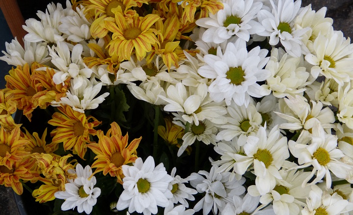6 ���� 2016. ������ ����
July 6, 2016. The Nemtsov bridge
