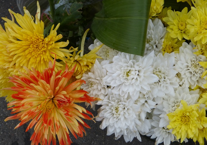 6 ���� 2016. ������ ����
July 6, 2016. The Nemtsov bridge