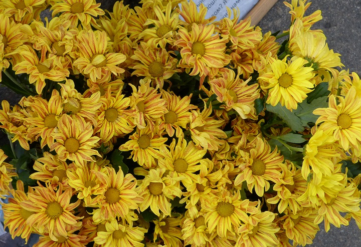 6 ���� 2016. ������ ����
July 6, 2016. The Nemtsov bridge