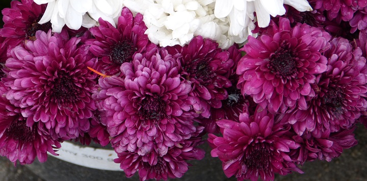 6 ���� 2016. ������ ����
July 6, 2016. The Nemtsov bridge