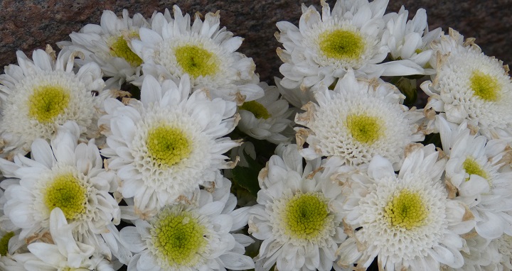 6 ���� 2016. ������ ����
July 6, 2016. The Nemtsov bridge