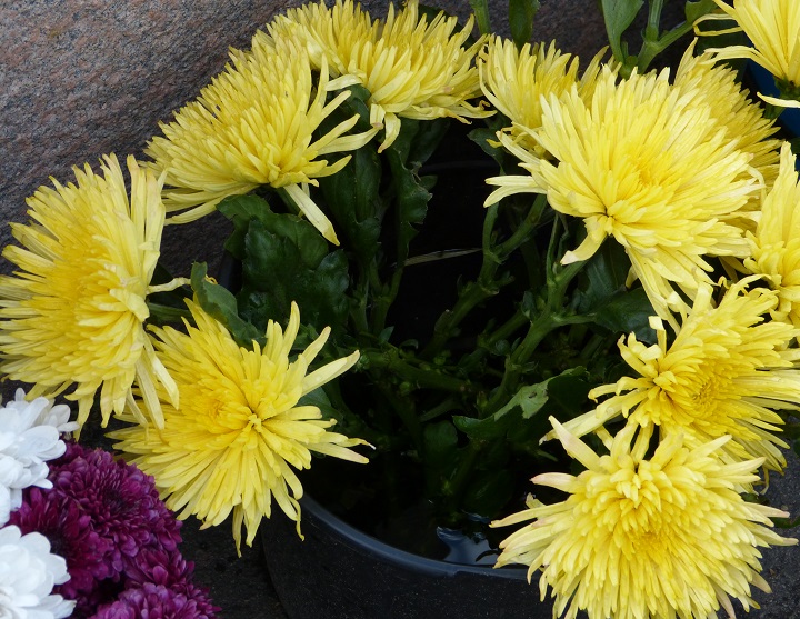 6 ���� 2016. ������ ����
July 6, 2016. The Nemtsov bridge