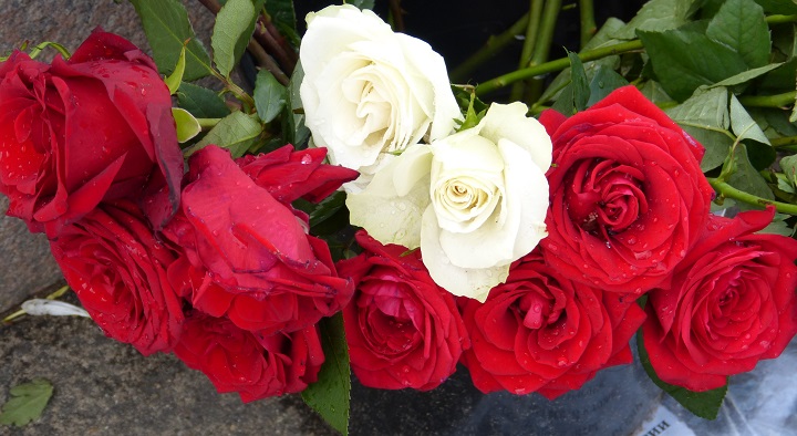 6 ���� 2016. ������ ����
July 6, 2016. The Nemtsov bridge