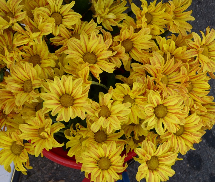 6 ���� 2016. ������ ����
July 6, 2016. The Nemtsov bridge
