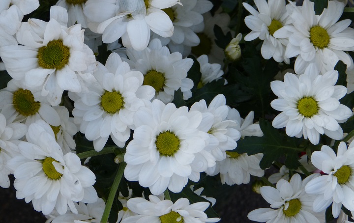 6 ���� 2016. ������ ����
July 6, 2016. The Nemtsov bridge