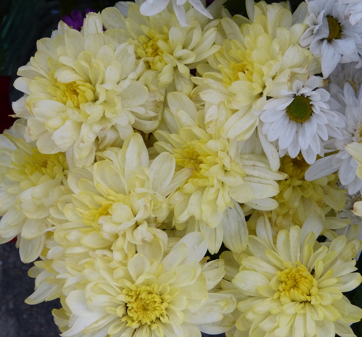 6 ���� 2016. ������ ����
July 6, 2016. The Nemtsov bridge
