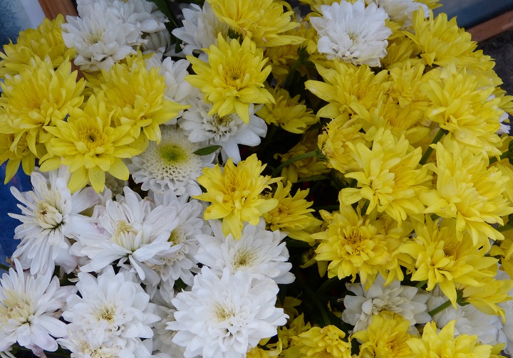 6 ���� 2016. ������ ����
July 6, 2016. The Nemtsov bridge