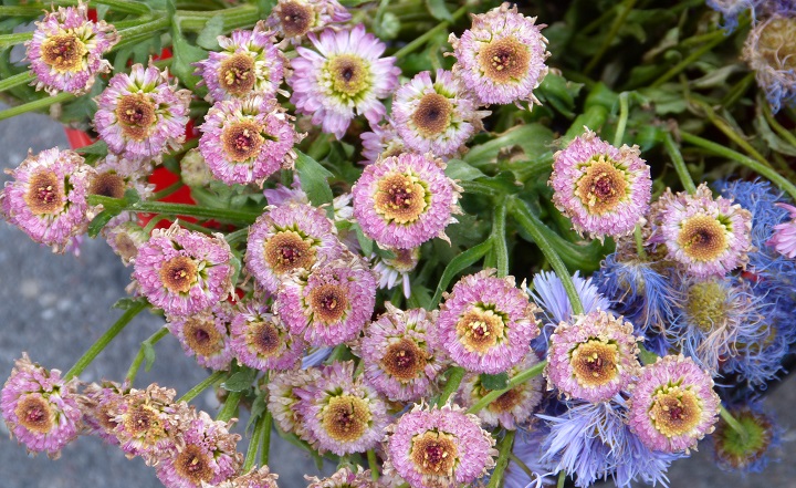 6 ���� 2016. ������ ����
July 6, 2016. The Nemtsov bridge