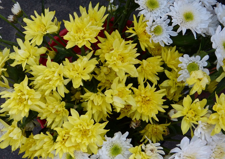 6 ���� 2016. ������ ����
July 6, 2016. The Nemtsov bridge