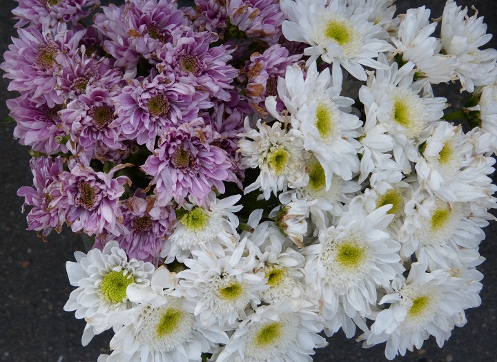 6 ���� 2016. ������ ����
July 6, 2016. The Nemtsov bridge