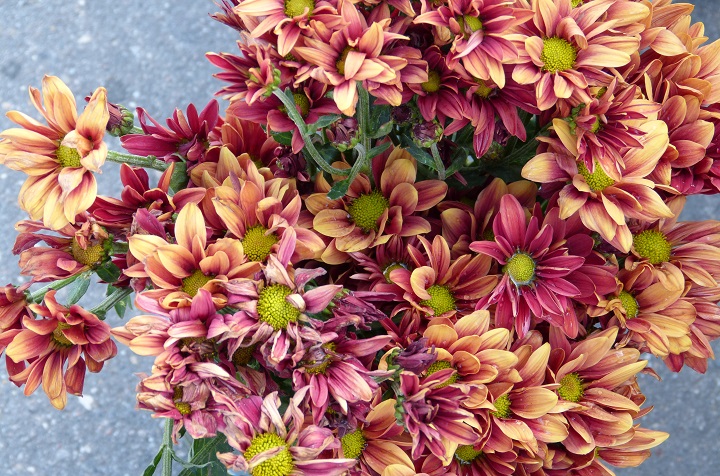 6 ���� 2016. ������ ����
July 6, 2016. The Nemtsov bridge