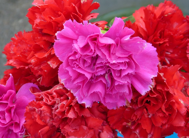 6 ���� 2016. ������ ����
July 6, 2016. The Nemtsov bridge