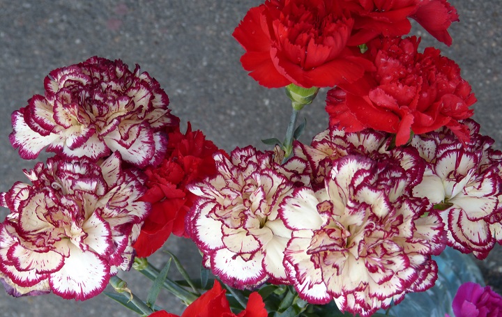 6 ���� 2016. ������ ����
July 6, 2016. The Nemtsov bridge