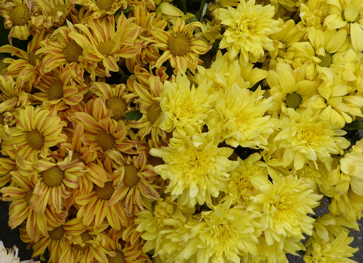 10 ���� 2016. ������ ����
July 10, 2016. The Nemtsov bridge