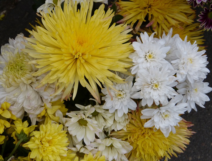 10 ���� 2016. ������ ����
July 10, 2016. The Nemtsov bridge