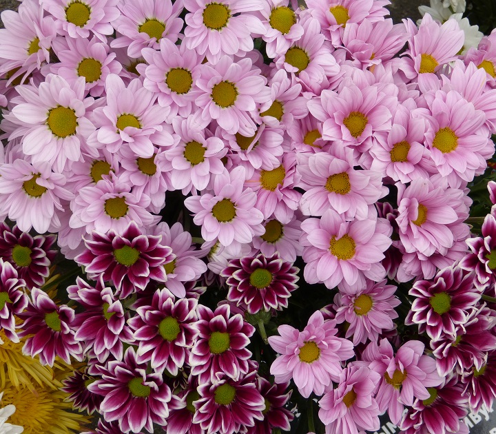 10 ���� 2016. ������ ����
July 10, 2016. The Nemtsov bridge