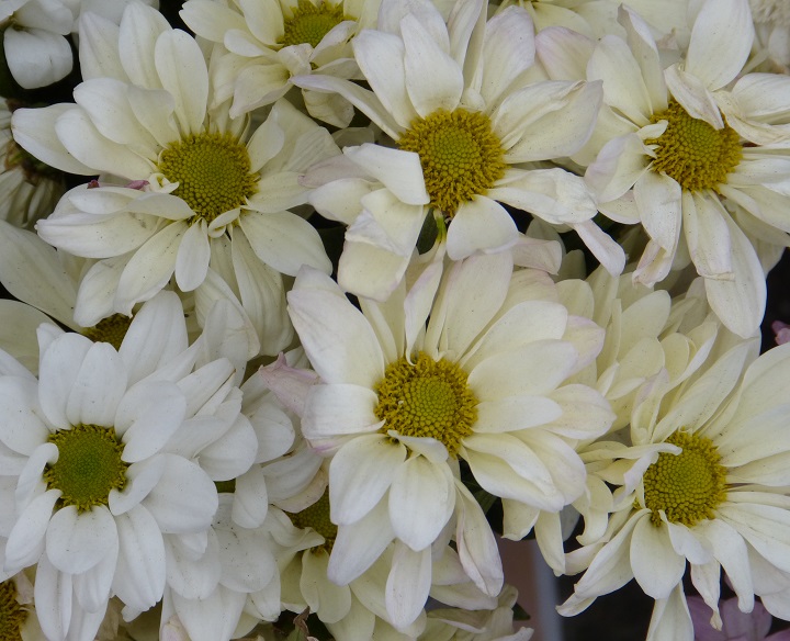 10 ���� 2016. ������ ����
July 10, 2016. The Nemtsov bridge