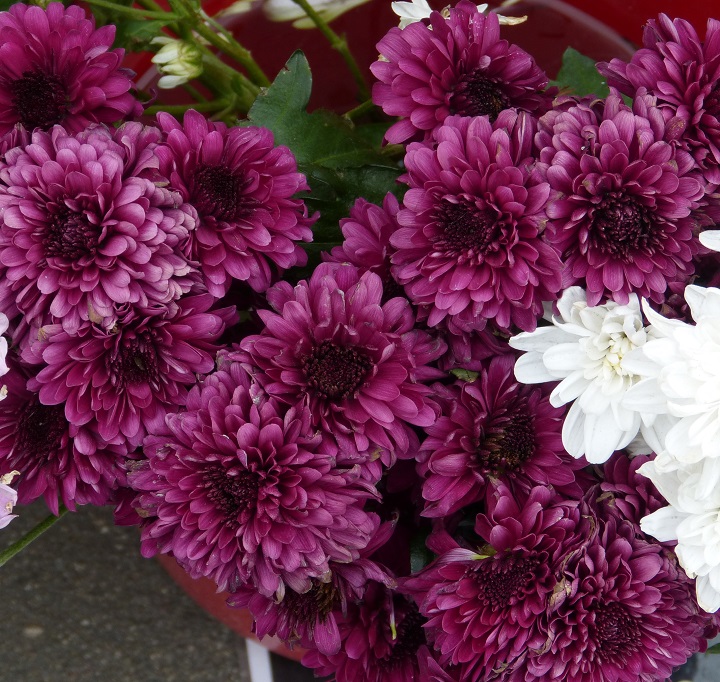 10 ���� 2016. ������ ����
July 10, 2016. The Nemtsov bridge