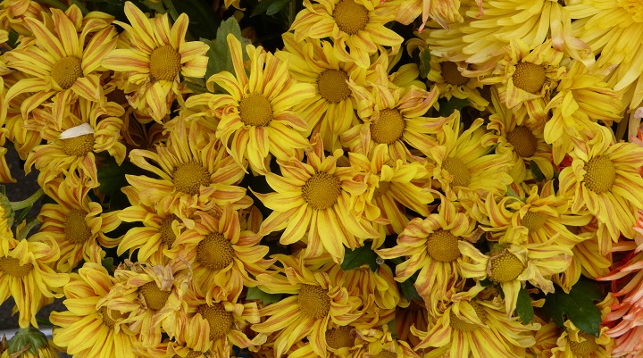 10 ���� 2016. ������ ����
July 10, 2016. The Nemtsov bridge