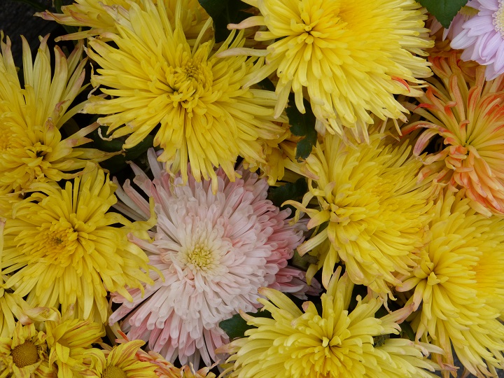 10 ���� 2016. ������ ����
July 10, 2016. The Nemtsov bridge