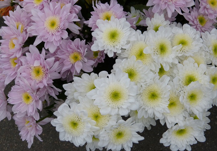 10 ���� 2016. ������ ����
July 10, 2016. The Nemtsov bridge
