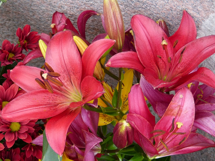 10 ���� 2016. ������ ����
July 10, 2016. The Nemtsov bridge