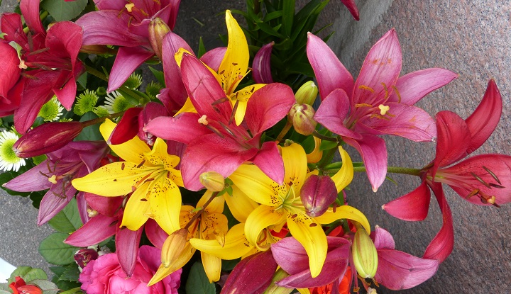 10 ���� 2016. ������ ����
July 10, 2016. The Nemtsov bridge