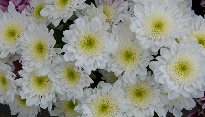 10 ���� 2016. ������ ����
July 10, 2016. The Nemtsov bridge