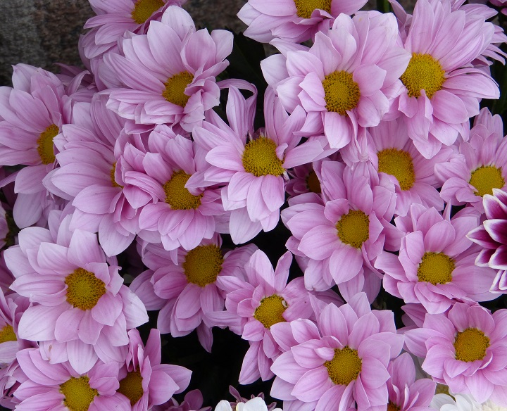 10 ���� 2016. ������ ����
July 10, 2016. The Nemtsov bridge