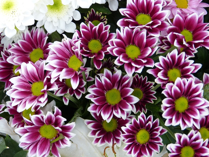 10 ���� 2016. ������ ����
July 10, 2016. The Nemtsov bridge