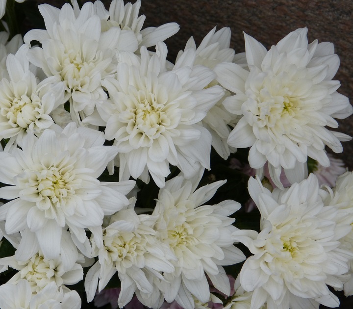 10 ���� 2016. ������ ����
July 10, 2016. The Nemtsov bridge