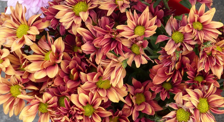 10 ���� 2016. ������ ����
July 10, 2016. The Nemtsov bridge