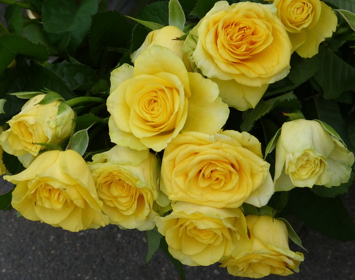 10 ���� 2016. ������ ����
July 10, 2016. The Nemtsov bridge