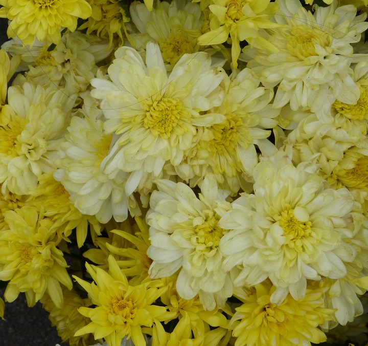 10 ���� 2016. ������ ����
July 10, 2016. The Nemtsov bridge