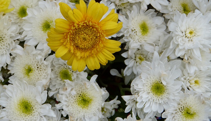 10 ���� 2016. ������ ����
July 10, 2016. The Nemtsov bridge