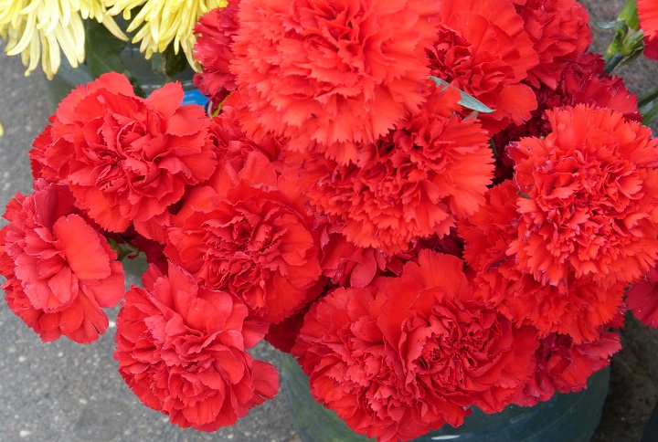 10 ���� 2016. ������ ����
July 10, 2016. The Nemtsov bridge