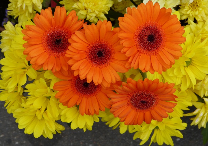 10 ���� 2016. ������ ����
July 10, 2016. The Nemtsov bridge