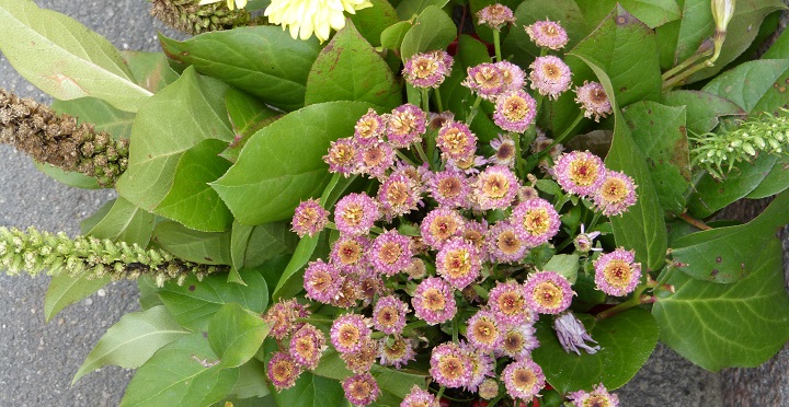 10 ���� 2016. ������ ����
July 10, 2016. The Nemtsov bridge
