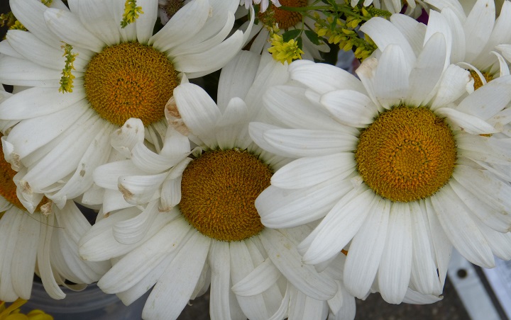 10 ���� 2016. ������ ����
July 10, 2016. The Nemtsov bridge