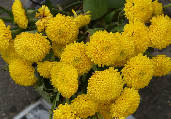 27 ���� 2016. ������ ����
July 27, 2016. The Nemtsov bridge