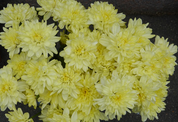 27 ���� 2016. ������ ����
July 27, 2016. The Nemtsov bridge