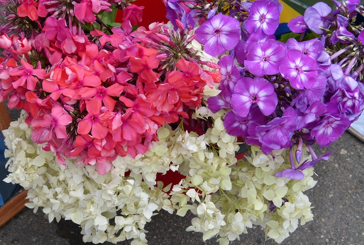 27 ���� 2016. ������ ����
July 27, 2016. The Nemtsov bridge