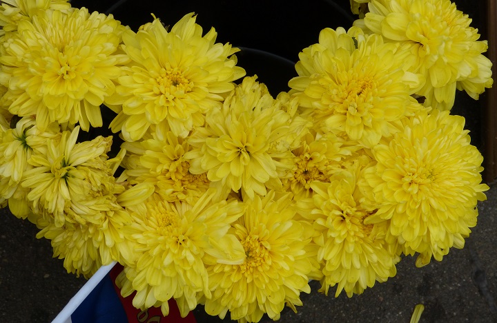 27 ���� 2016. ������ ����
July 27, 2016. The Nemtsov bridge