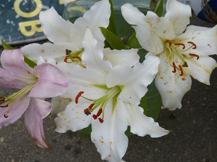27 ���� 2016. ������ ����
July 27, 2016. The Nemtsov bridge