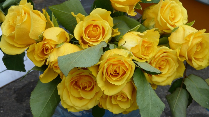 27 ���� 2016. ������ ����
July 27, 2016. The Nemtsov bridge